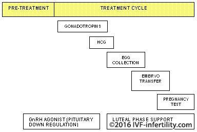 Steps of long-protocol IVF.